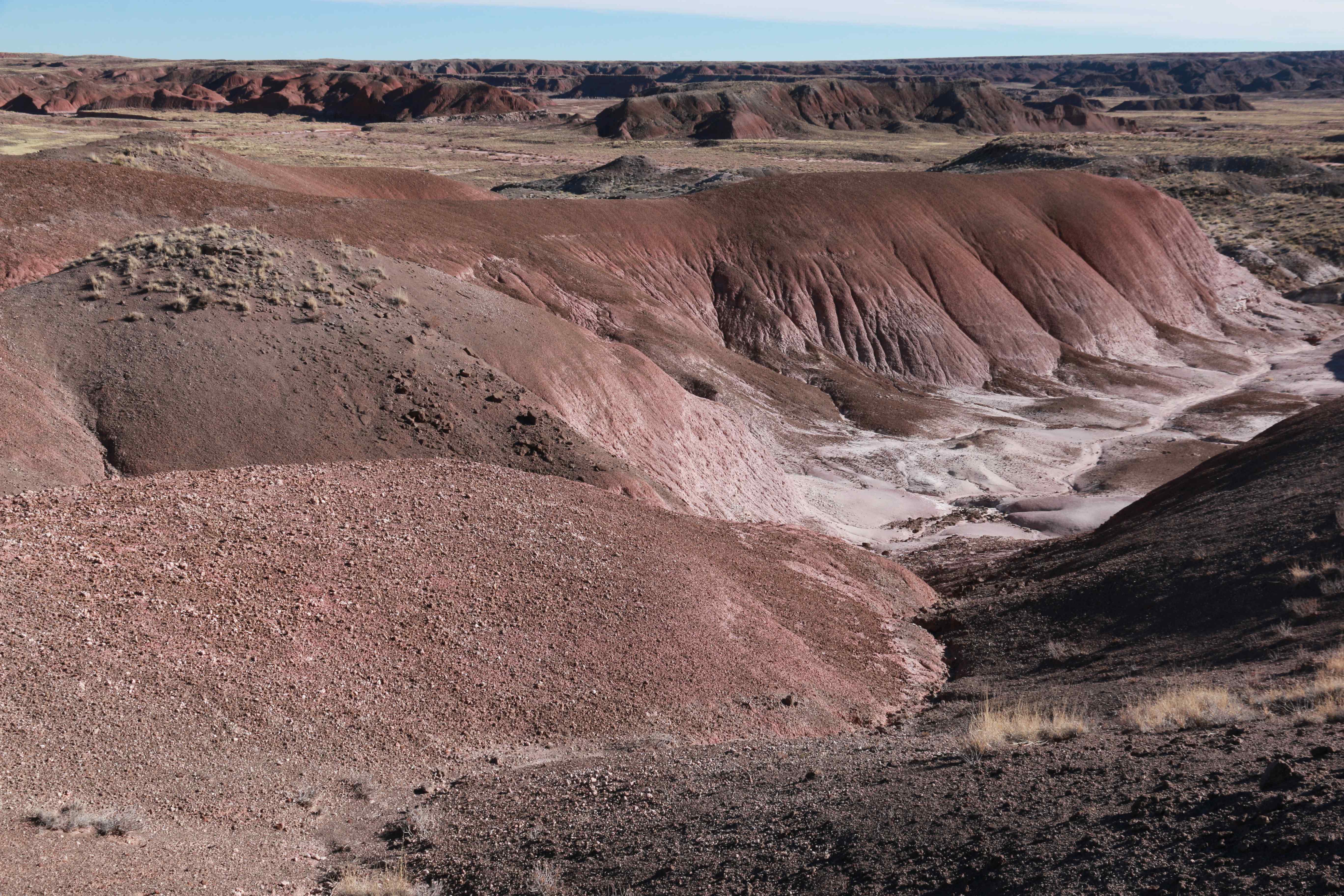 Petrified Forest NP